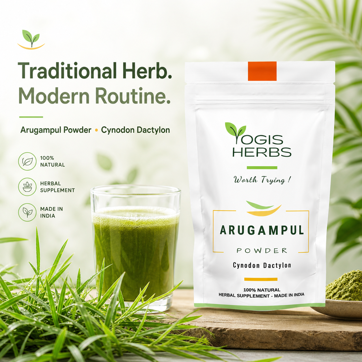 YOGIS HERBS Arugampul Powder — Cynodon dactylon (Bermuda Grass / Durva) | Traditional Tamil Heritage Herb for Alkaline Wellness, Metabolic Balance & Vitality 11 arugampul powder