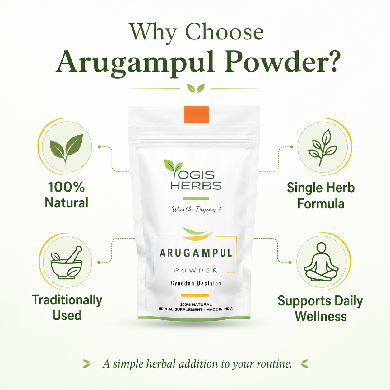 YOGIS HERBS Arugampul Powder — Cynodon dactylon (Bermuda Grass / Durva) | Traditional Tamil Heritage Herb for Alkaline Wellness, Metabolic Balance & Vitality 12 arugampul powder