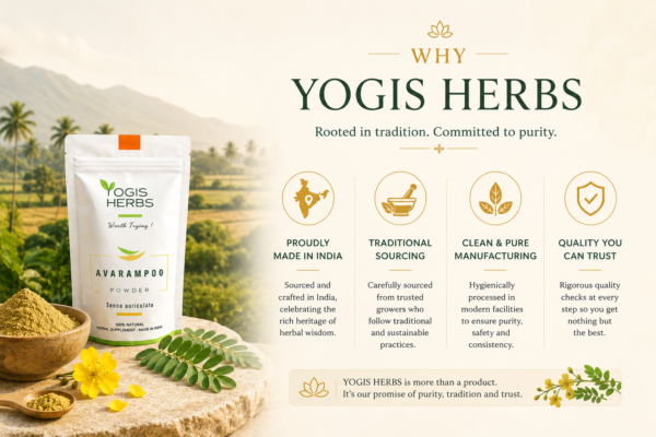 Avarampoo_YH6 Avarampoo Powder — Senna auriculata | Blood Sugar Balance & Skin Radiance