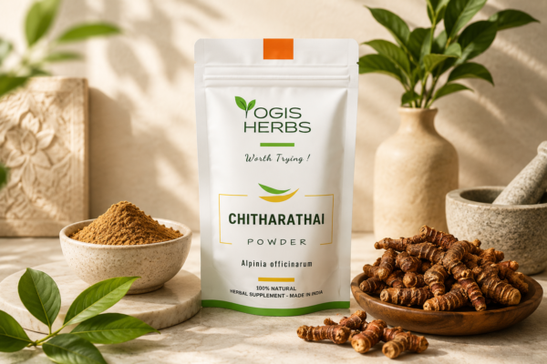 YOGIS HERBS Chitharathai Powder (Alpinia officinarum / Kulinjan) – Traditional Herbal Supplement for Throat Comfort, Respiratory Wellness & Digestive Fire