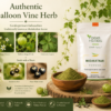 YOGIS HERBS Mudakathan Powder — Cardiospermum halicacabum (Balloon Vine) | Traditional Tamil Herb for Joint Comfort & Mobility | Heritage Keerai
