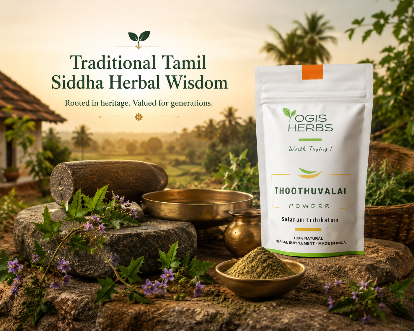 Thoothuvalai powder ( Solanum trilobatum / Thai nightshade ) | Respiratory Health & Lung Support 37 Thoothuvalai powder ( Solanum trilobatum / Thai nightshade
