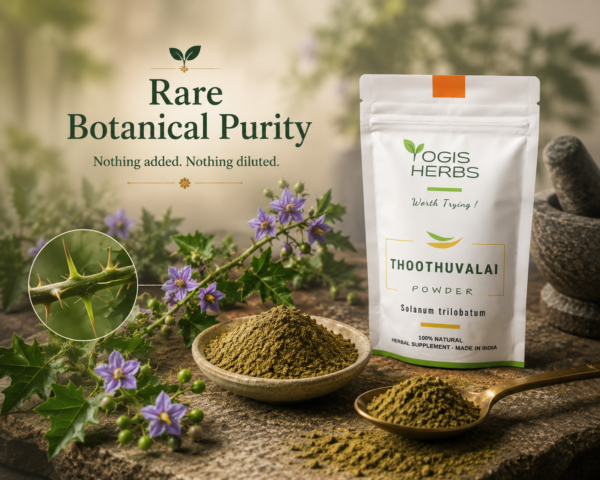 ThoothuvalaiPowder3 Thoothuvalai powder ( Solanum trilobatum / Thai nightshade ) | Respiratory Health & Lung Support