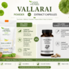 Vallarai Powder — Centella asiatica | Brain Tonic, Memory & Cognitive Health