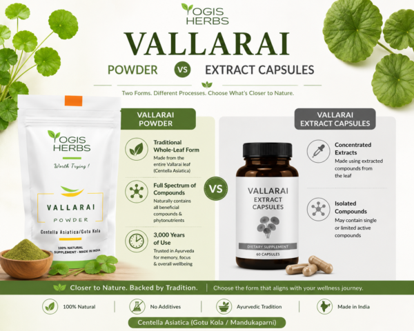Vallarai Powder — Centella asiatica | Brain Tonic, Memory & Cognitive Health