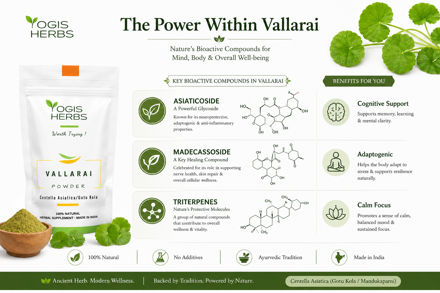 Vallarai Powder — Centella asiatica