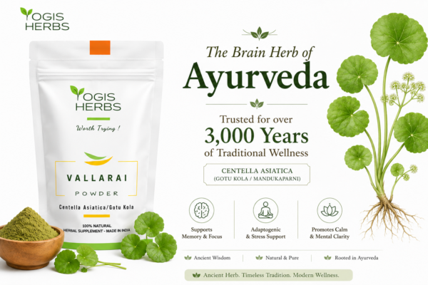 Vallarai Powder — Centella asiatica | Brain Tonic, Memory & Cognitive Health