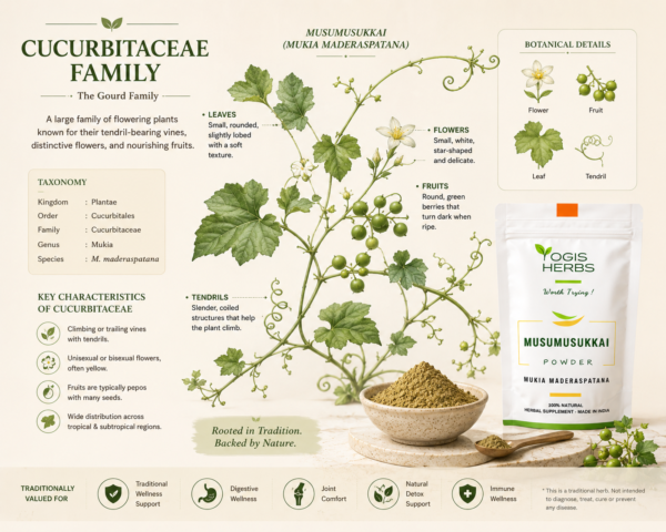 MusumusukaiPowder_YH7 Musumusukkai Powder — Mukia maderaspatana | Blood Purifier, Respiratory & Liver Support