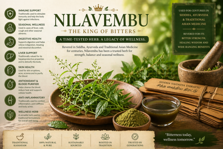 Nilavembu - King of bitters and a Tradition of Wellness 2 Nilavembu