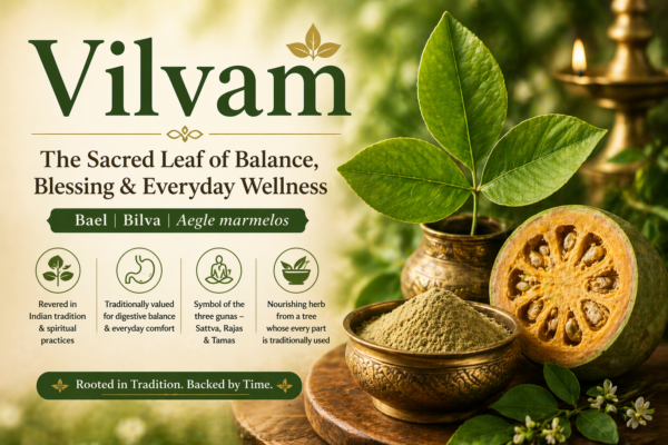 The Story of Vilvam