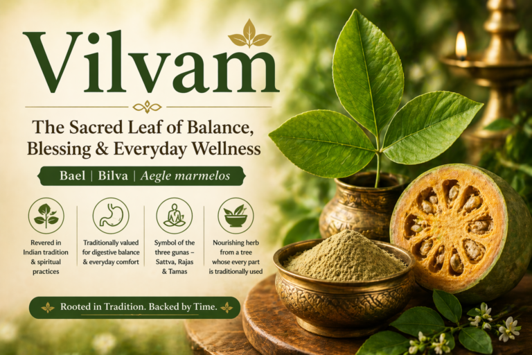 Vilvam: The Sacred Leaf of Balance, Blessing and Everyday Wellness 1 The Story of Vilvam