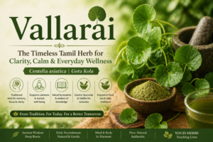 The Story of Vallarai