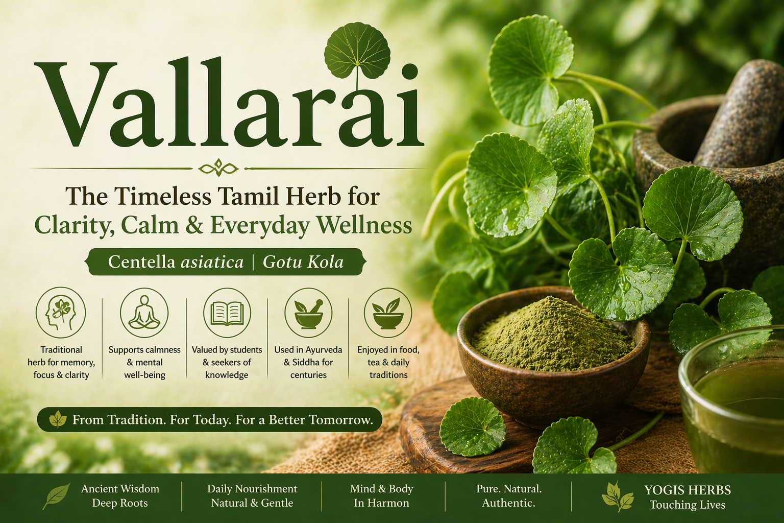 The Story of Vallarai: Tradition, Food, Clarity and Everyday Use 1 The Story of Vallarai