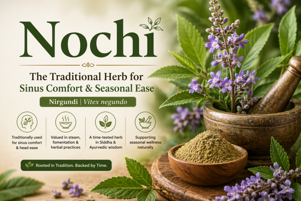 The Timeless Value of Nochi 2 yogis herbs Nochi