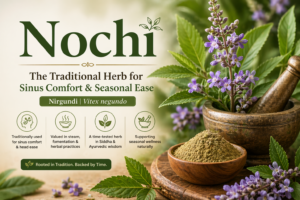 yogis herbs Nochi