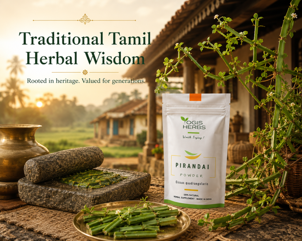 Pirandai Powder (Cissus quadrangularis / Hadjod / Asthisamharaka) – Bone & Joint Wellness, Digestive Comfort & Everyday Strength 10 Pirandai Powder traditional tamil wisdom