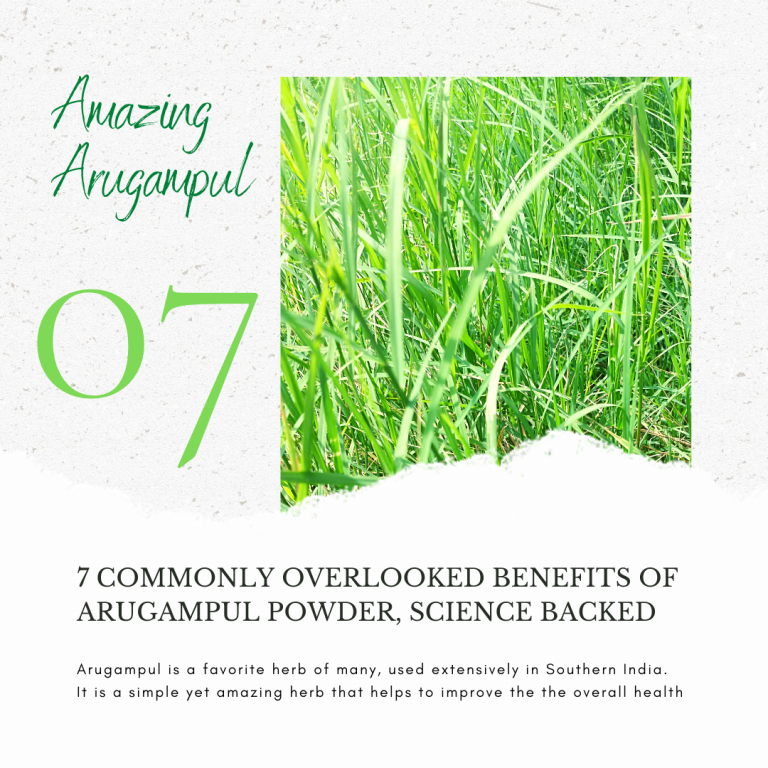 Amazing Arugampul 10 Amazing Arugampul 3