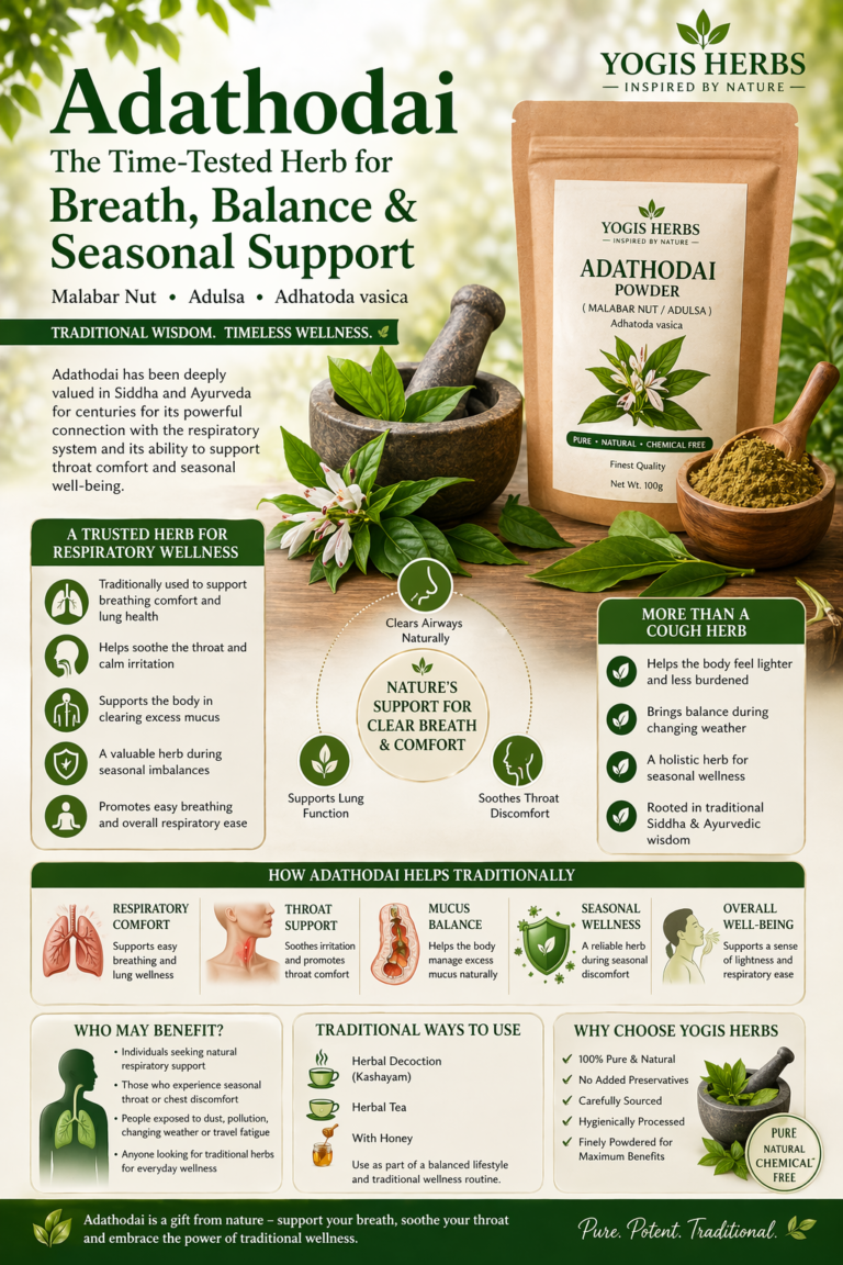 The Timeless Value of Adathodai: A Classic Herb for Respiratory Wellness 8 The Timeless Value of Adathodai: A Classic Herb for Respiratory Wellness 1