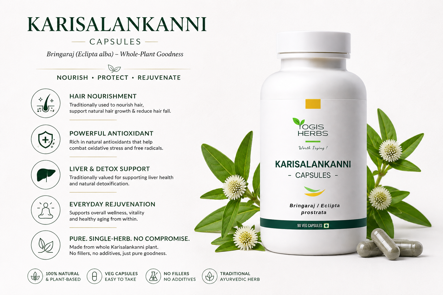 YOGIS HERBS Karisalankanni Capsules – Bhringraj (Eclipta alba / Bhringaraja), White False Daisy – Whole-Plant Veg Capsules for Hair Nourishment, Antioxidant & Everyday Rejuvenation – Single-Herb, No Fillers, 90 Capsules 2