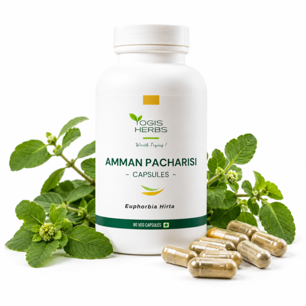AmmanPachariCap_hero Amman Pacharisi Capsules (Euphorbia hirta)