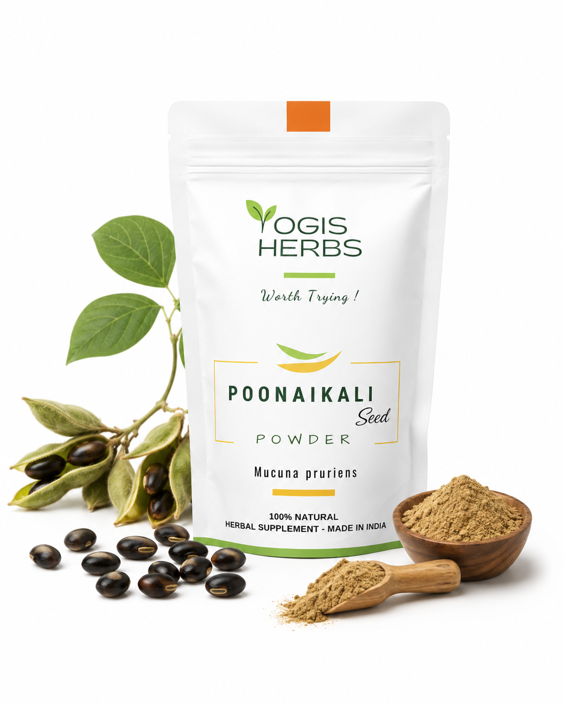 Purified Poonaikali Seed Powder ( Velvet Bean / Kapikacchu / Mucuna pruriens ) — Mood, Focus & Vitality 11 Poonaikali Seed Powder