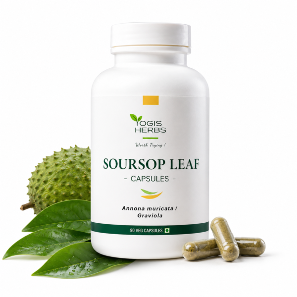 Soursop Leaf cap-stack1 YOGIS HERBS Soursop Leaf Capsules (Annona muricata / Graviola) bottle with fresh soursop leaves, whole soursop fruit and vegetarian capsules on a clean white background.